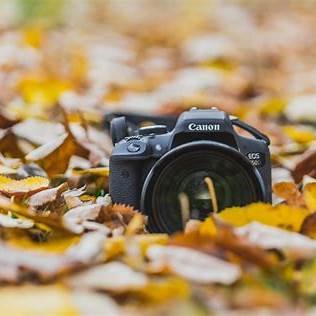 cameras-for-fall